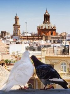 afea9bd585b0e86049f24f637644ce63