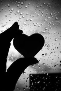 038cc6f40e46a574295ec8b9b5505569