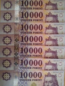 10941806_932911020093911_1318322848_n