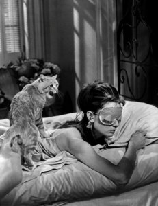 1d0a5d34edfb21a7bd16e9971e3a989e