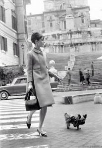 d45a828dccf95bd292a7a7aed73855df