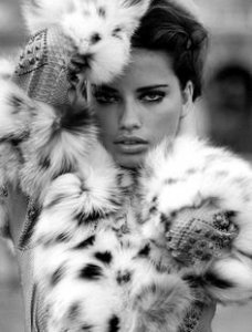 6060d384970de38c08d95f20c6d23688